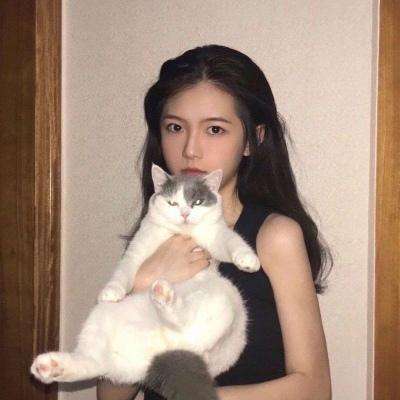 爱玩mc盒子下载